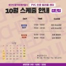 프로발리볼센터 이미지