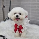 까끌레멍 이미지