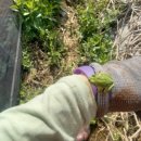 해뜬농장 이미지