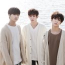 더로즈 이미지