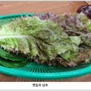 금강호 민물장어 이미지