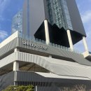 여수 신라스테이 내돈내산, 스탠다드 패밀리 트윈 오션뷰, 조식, 편의점, 헬스장 후기:)
