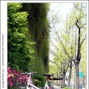 호미숙 자전거여행[5월 첫날 남대문시장풍경,생활의달인 호떡집,활터에서` 이미지