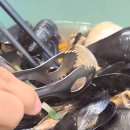 토리상점 | 현대백화점 맛집 추천 | 토리칼국수 솔직후기, 울산 삼산 칼국수 쫄깃한 면발