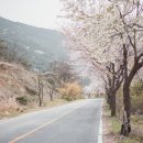 [제천 금수산] 소용아릉을 따라 환종주 백패킹