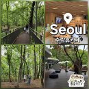 예약 못해도 괜찮아요! 노원 수락휴 카페와 유아숲체험장 다녀온 후기