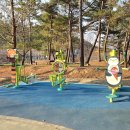 동해체육공원 이미지