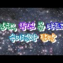 남해창선 수미정사 탐방 이미지