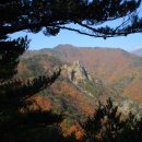 금강사 입구 이미지