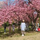 만보한의원 | 기능성 소화불량 치료 후기 l 담적병까지 겪은 3년의 기록 (+노협찬)