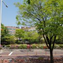 관곡초등학교 이미지