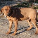 현동농장 이미지