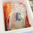 방촌시장 | 방떡 대구 떡볶이 밀키트 방촌시장 &amp; 납작만두 요리 후기(보통맛 &amp; 매운맛)