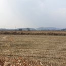 목동2농로 이미지