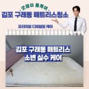 예미지세탁 | 김포 구래동 김포한강 예미지 아파트 매트리스 청소 이사 후 소변 얼룩, 냄새제거 진행