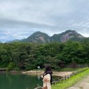 호성축산 이미지