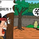 우렁각시 - 서귀포시 서호상로 20-3 | 우렁각시