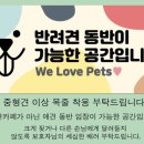 셀프사진카페
