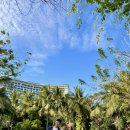 아남농장 이미지