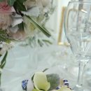 릴리플라워 이미지