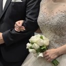 시아리아팜 | (팜투어 패키지)6박8일 발리 신혼여행후기-1~4일차