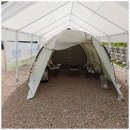 영덕 천연 탄산수 캠핑장 이미지