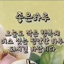 제일큰건강