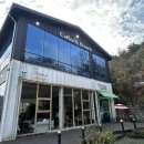 안청로 | 진해 용원 반려동물 동반 카페 후기｜포레스트502 솔직 방문기