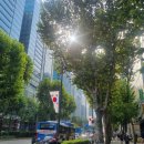 강남우리공인중개사사무소 이미지