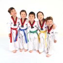 국가대표 스타클래스 태권도장 이미지