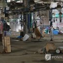 명도수산 연합뉴스