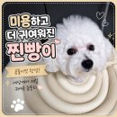 로즈멍 | <굴포천> 찐빵이 미용 후기 강아지미용 "로즈멍"