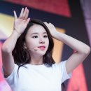 아미고