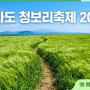 올레청보리민박 | 가파도 청보리 축제 2026, 배편 예약 이렇게 안 하면 진짜 못 들어가요