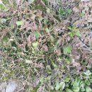 금원농장 이미지