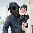 브라보컴퍼니