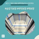 올보양