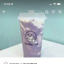 볼볼티 이미지