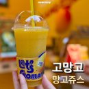 고망고 종로2가점