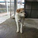 천종농장 이미지