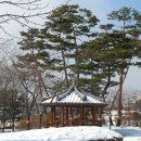 월드컵경기장 주변 뒷길 이미지