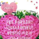 축복의통로 이미지