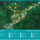 솔향수목원(솔숲광장) 이미지