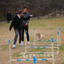 (재)평택시청소년재단 무봉산청소년수련원 이미지
