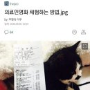 의료 민영화 체험 하는법 이미지