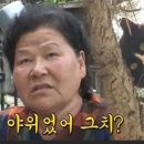 시샘달하루 이미지