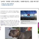 불독 겐조 KBS2TV 서바이벌 개쇼 슈퍼독에 나와서 어제는 기사가 4개나 떴어요! 이미지