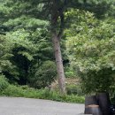 계곡담은집 이미지