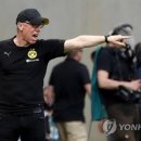 피터독 이미지