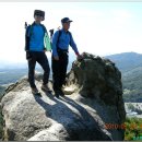 황금물결 이미지